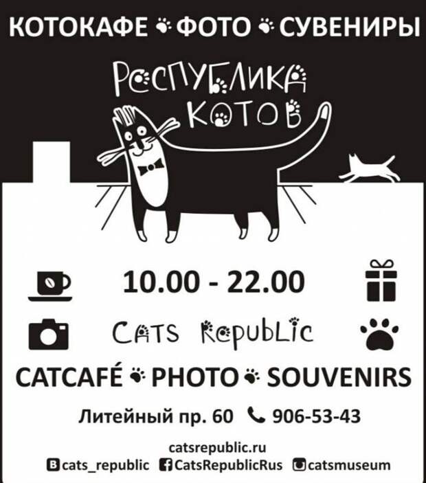 В Петербурге открылось крупнейшее в Европе котокафе