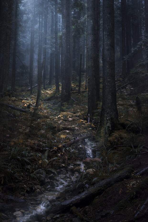 Красота природы на фотографиях