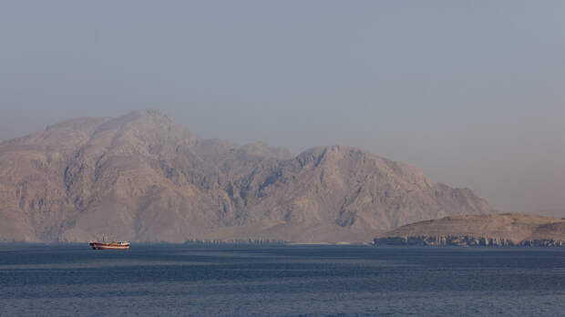 В ГД прокомментировали планы ряда стран найти альтернативу Ормузскому проливу