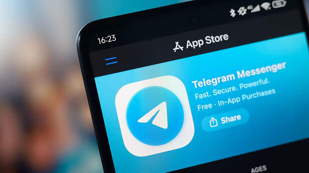 В СПЧ допустили восстановление работы Telegram в России