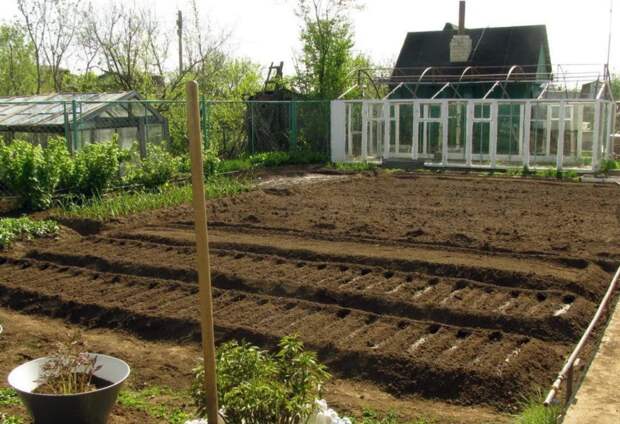 Как сад губит женщину