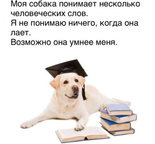 Забавные приколы и мысли пользователей Сети, которыми они решили поделиться со всеми Забавные приколы и мысли пользователей Сети, которыми они решили поделиться со всеми