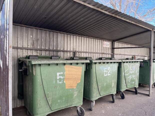 Год без вывоза мусора: в Ксеньевке навели порядок после сигнала Путину