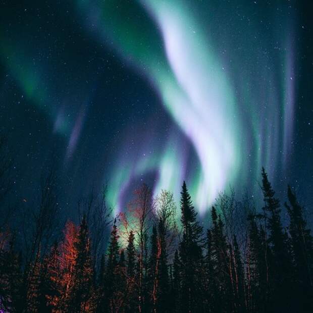 Have You Ever Seen The Northern Lights?