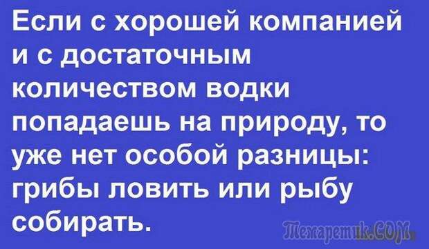 Шутки со страниц интернета