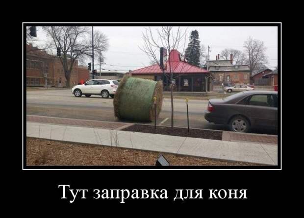 Порция самых свежих и прикольных демотиваторов Порция самых свежих и прикольных демотиваторов