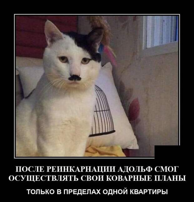 demotivatory-demotivator-smeshnye-demotivatory-demotivator-so-smyslom