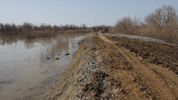 Уровень воды в реке Ишим снизился на всех тюменских гидропостах