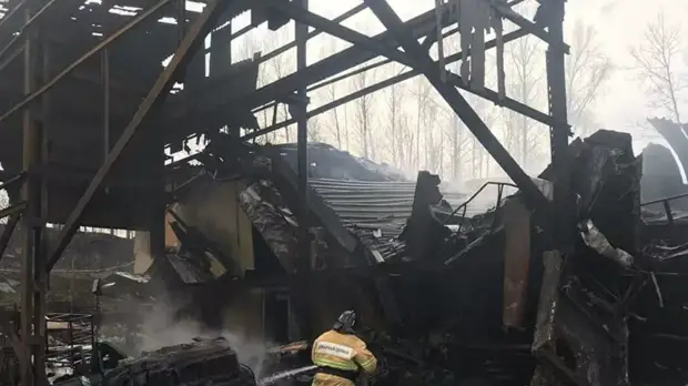 Местная жительница: у всех погибших при ЧП на заводе под Рязанью остались дети