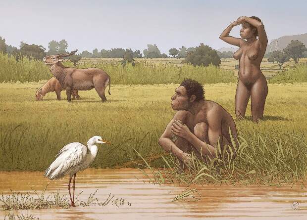 Африканских предков современных людей назвали Homo bodoensis
