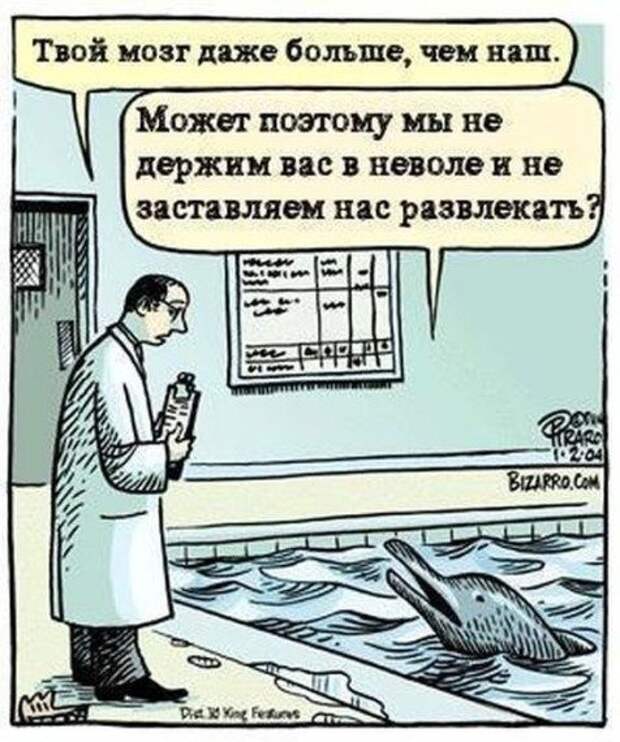 Картинки - смешинки