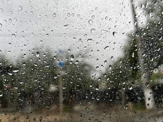 Погода в Крыму 16 июня: тепло и дождливо