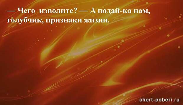 Самые смешные анекдоты ежедневная подборка chert-poberi-anekdoty-chert-poberi-anekdoty-33240924052020-19 картинка chert-poberi-anekdoty-33240924052020-19