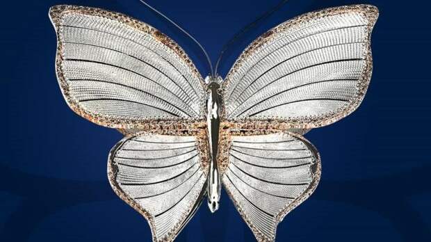 Порядка 16 тысяч зрителей посетили показы фильмов «Бриллиантовой бабочки»