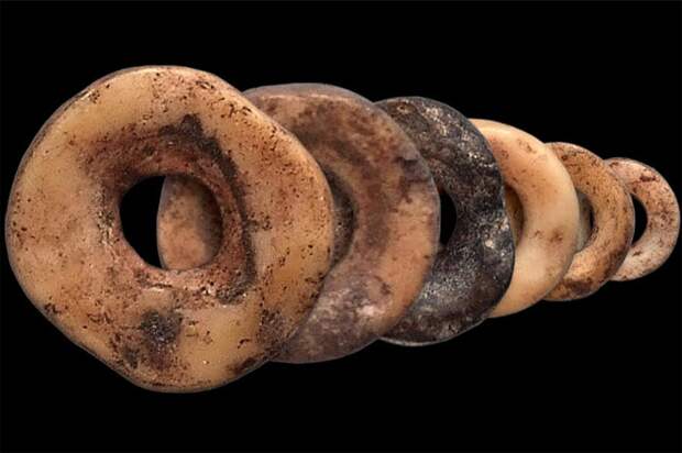 Доисторическое страусиное яйцо открывает ключи к разгадке человеческой жизни 33 тыс. лет назад