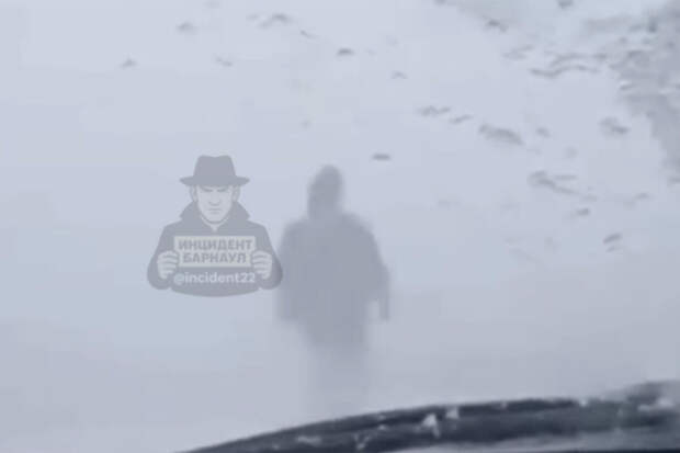 В Алтайском крае учительница прошла 4 км в сильный буран и вывела колонну машин