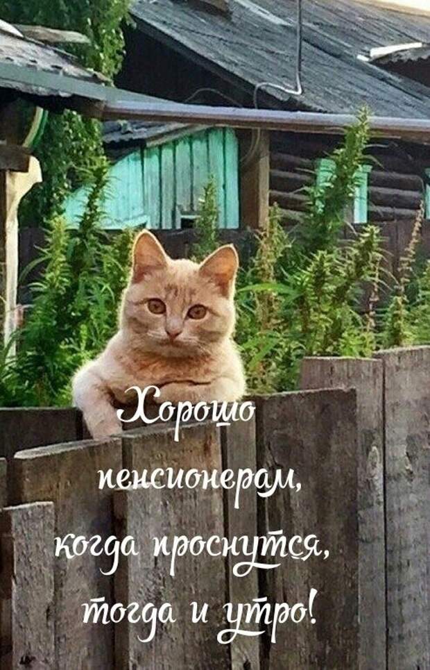 У каждого мужчины обязательно нет-нет, да и появится мысль...