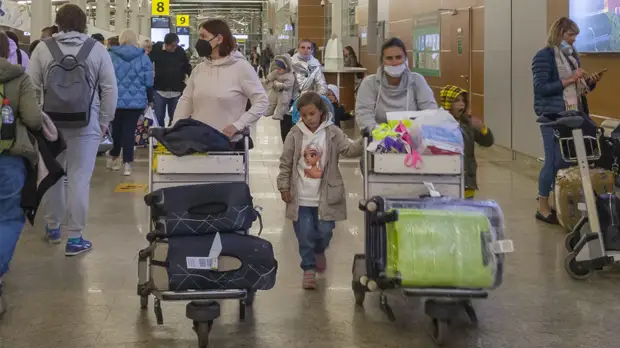 Вирусолог Викулов позитивно оценил идею введения QR-кодов в самолётах и поездах