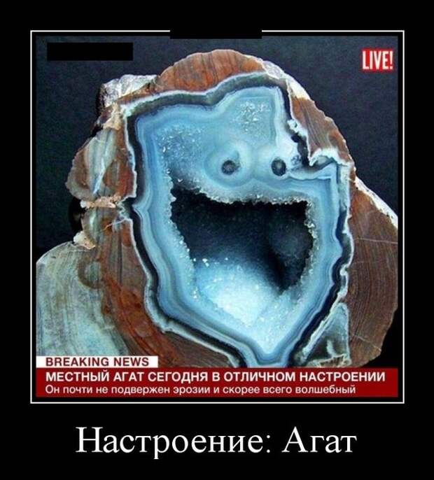 Демотиваторы Демотиваторы