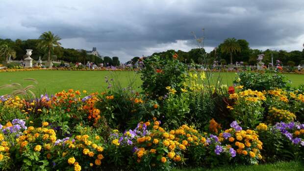 На улицах и в парках Петербурга в этом году высадят более 6 миллионов цветов