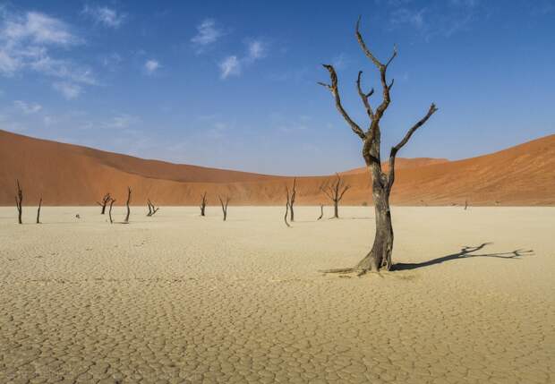 Африка. Намибия. Пустыня Намиб Соссусфлей Sossusvlei19 Африка. Намибия. Пустыня Намиб Соссусфлей