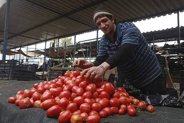 Сирийские помидоры самые вкусные!