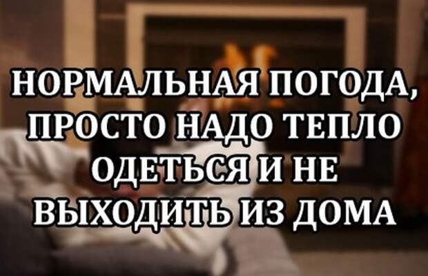 Подборка картинок. Вечерний выпуск (50 фото)