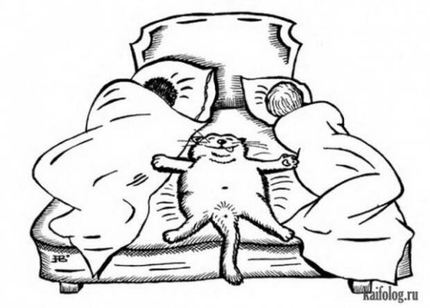 Карикатуры про котов (30 штук)