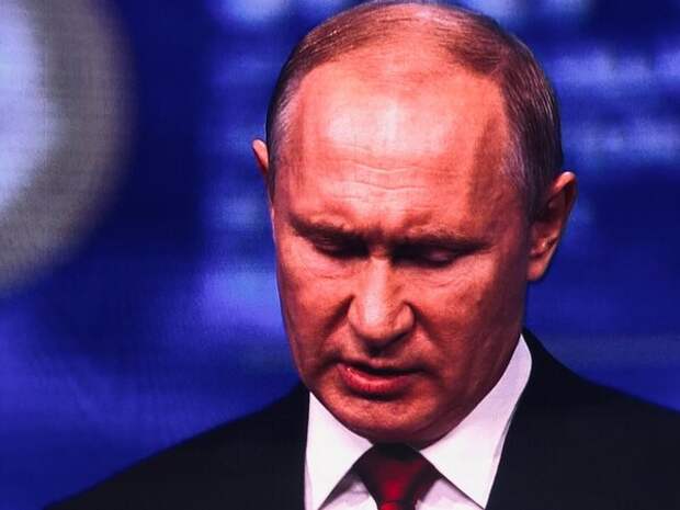 Про это Путин и говорил на ПМЭФ. Фото: Полит-Профит.