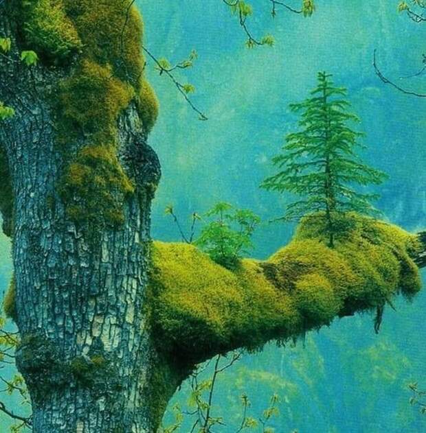 24 фото, доказывающих, что самая большая сила на Земле - природа, а не люди