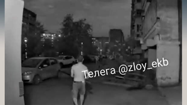 ФОТО: СКРИН С ТГ-КАНАЛА "РУССКИЕ ГРАМОТЫ"