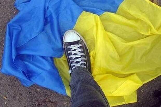 Про мораль и яйца: украинский экс-министр раскритиковал распиаренный проект Зеленского (ВИДЕО) | Русская весна