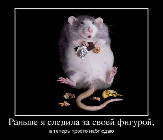 1589352337_demy-1.jpg