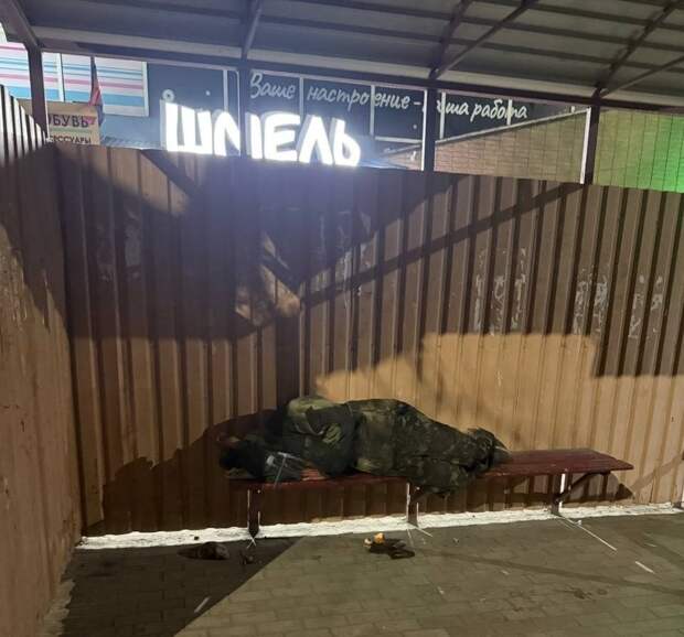 На Боссе шмель прилетел