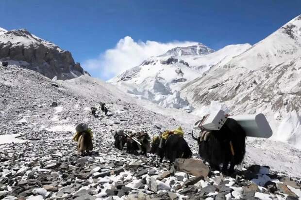 Вершина технологий: на Эвересте с помощью яков установили вышку 5G