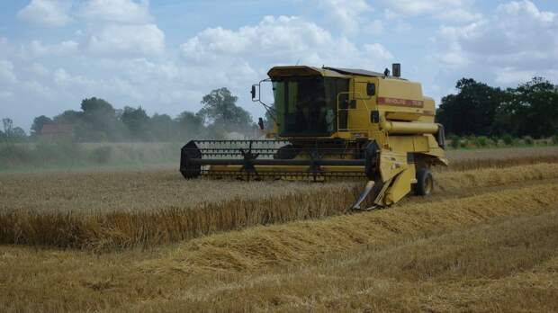 Зерновой союз спрогнозировал потери при сборе урожая в 2022 году