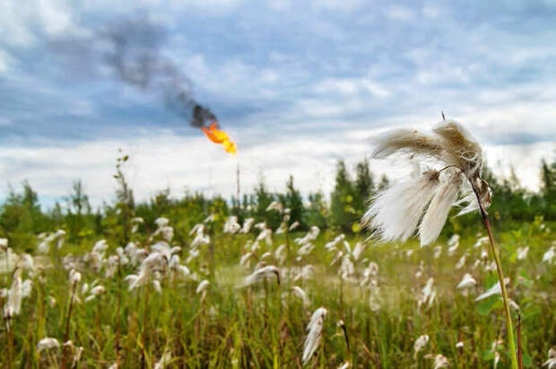 Фотография: Leonid Ikan/Shutterstock