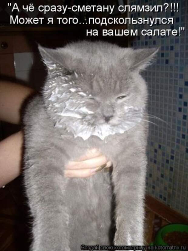 Забавные котоматрицы