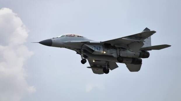 В США объяснили, почему Египет предпочел российские МиГ-29 американским F-16