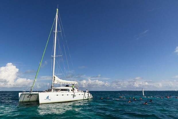 Катамаран. Фото: пресс-служба