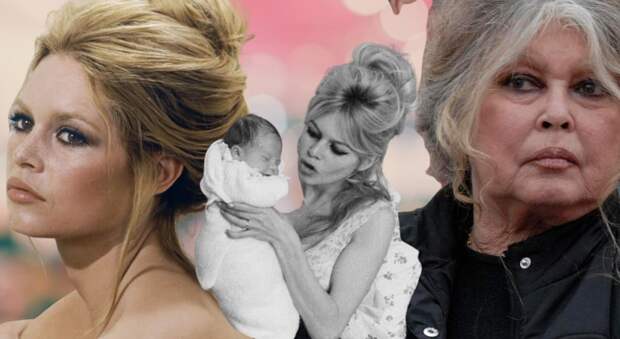 Брижит Бардо ненавидела беременность и отказалась от сына: самая темная глава ее жизни