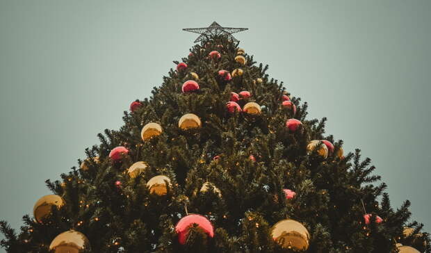 Семья или экстрим: как жители России собираются отдохнуть в новогодние выходные