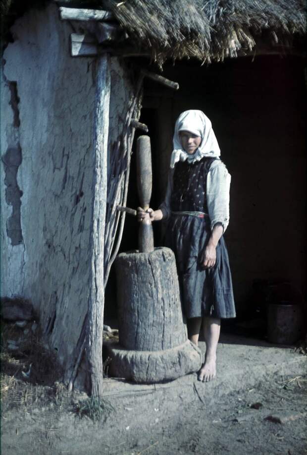 belgorod-by-franz-grasser-0668897 belgorod-by-franz-grasser-0668897