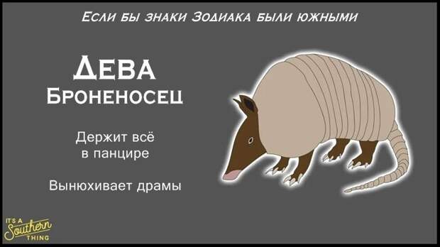 Есть южная версия знаков Зодиака — и она очень точна