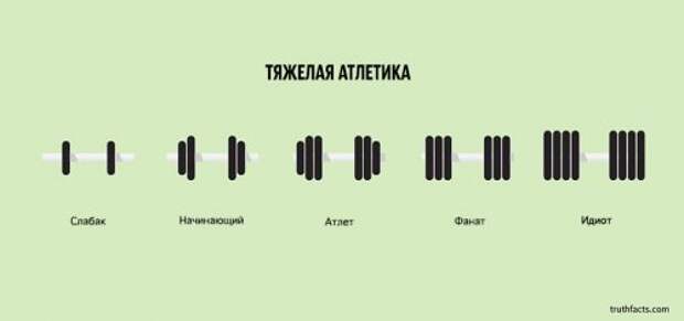 Правдивые факты о жизни в диаграммах и графиках (33 шт)