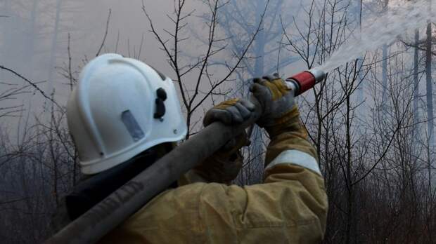 Власти ХМАО прокомментировали ситуацию с лесными пожарами
