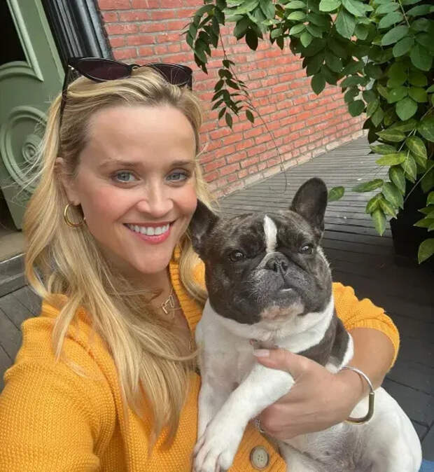 Риз Уизерспун с собакой/Фото: reesewitherspoon/Instagram*