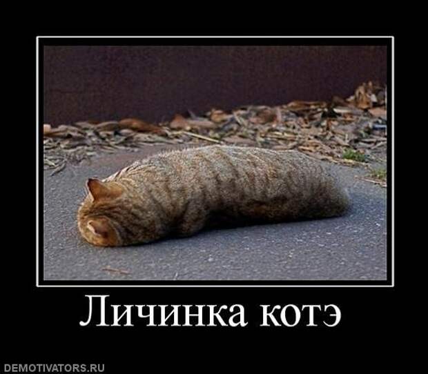 Всяко - разно 14 ))) Всяко - разно 14 )))