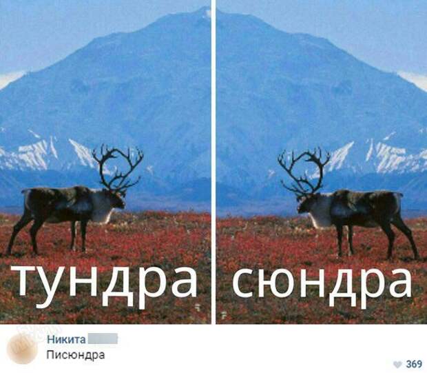 Картинки с глубочайшим жизненным смыслом