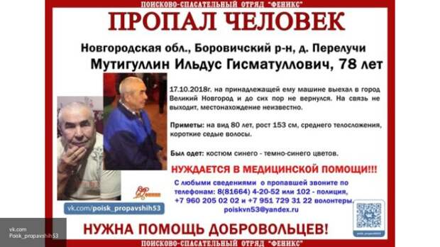 Пропавшего почти две недели назад пенсионера ищут в Окуловском районе